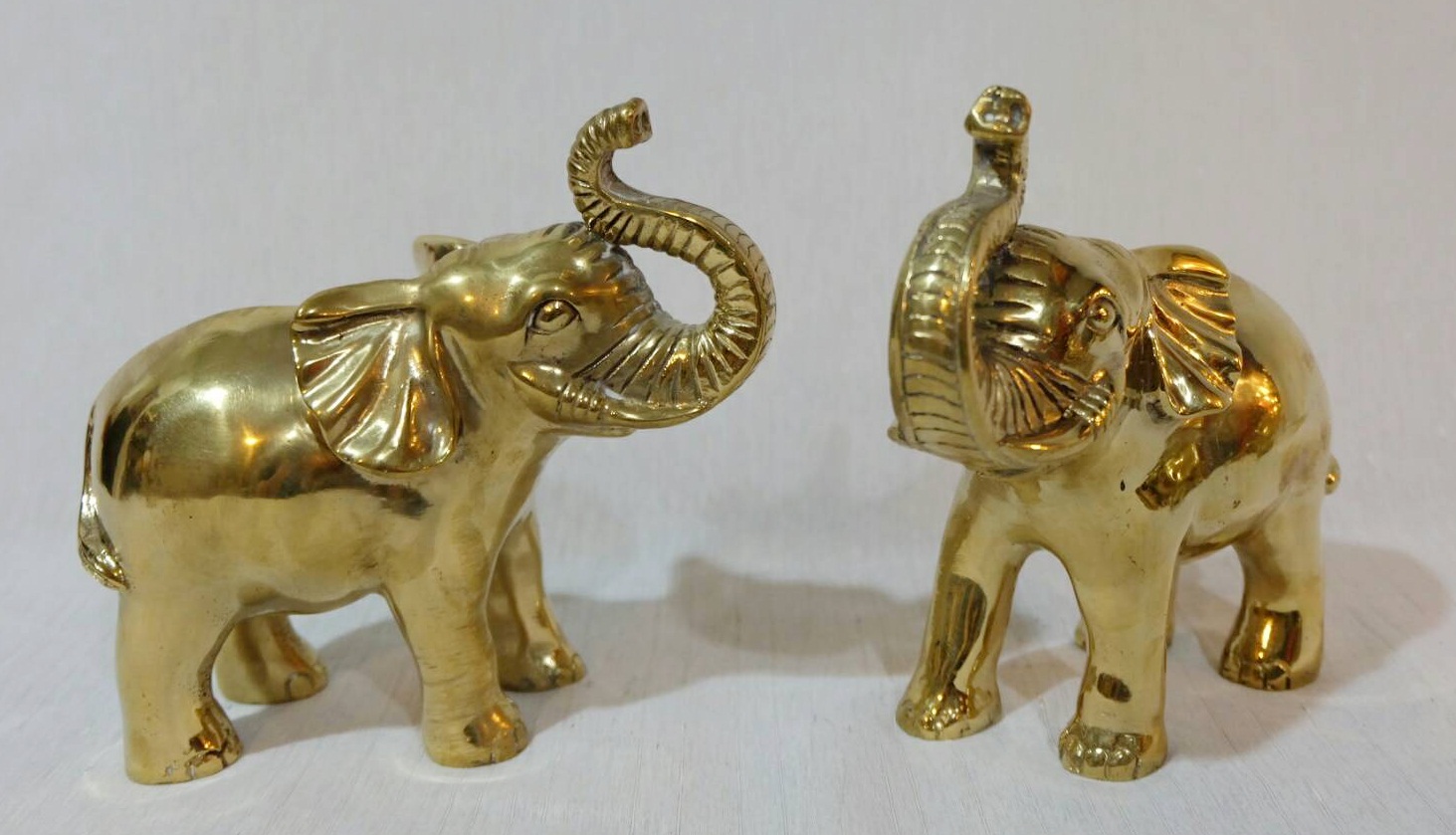 ช้าง