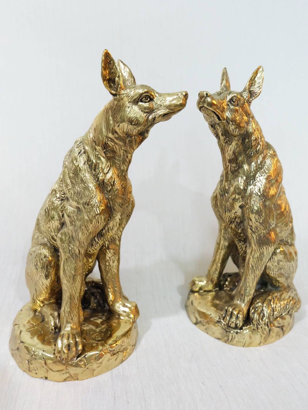 สุนัขเยอรมันเชฟเฟิร์ด