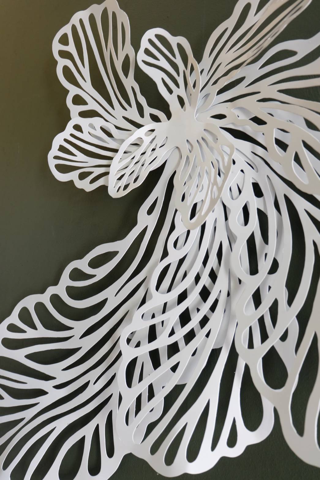 กล้วยไม้ ติดผนัง