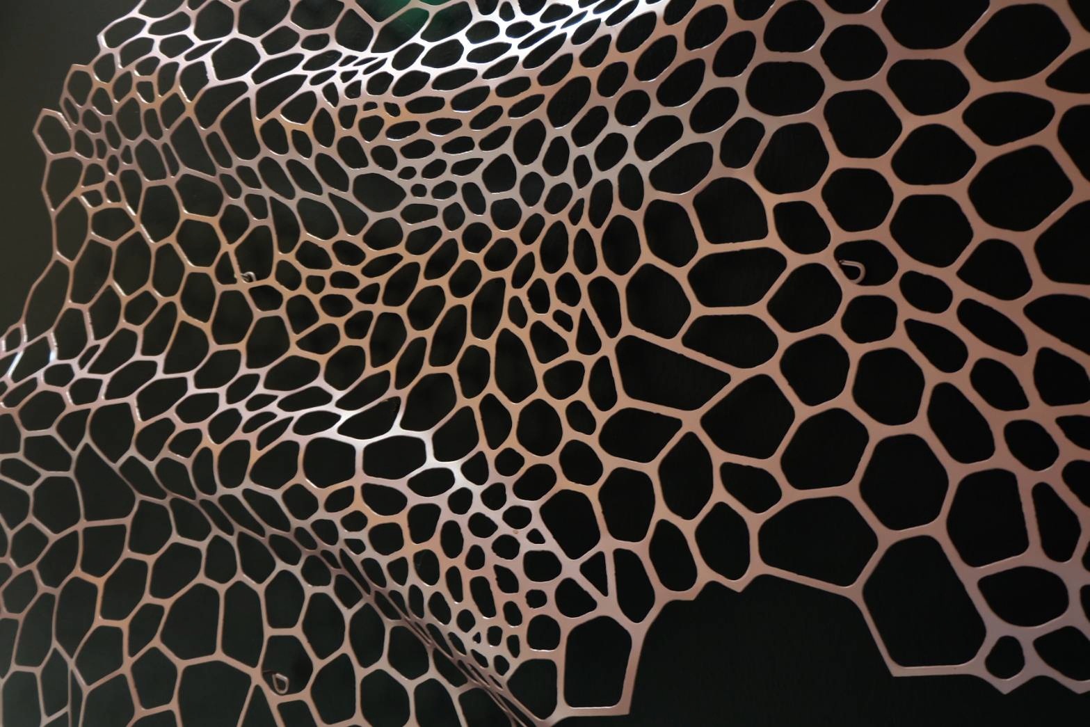 รังผึ้ง ติดผนัง