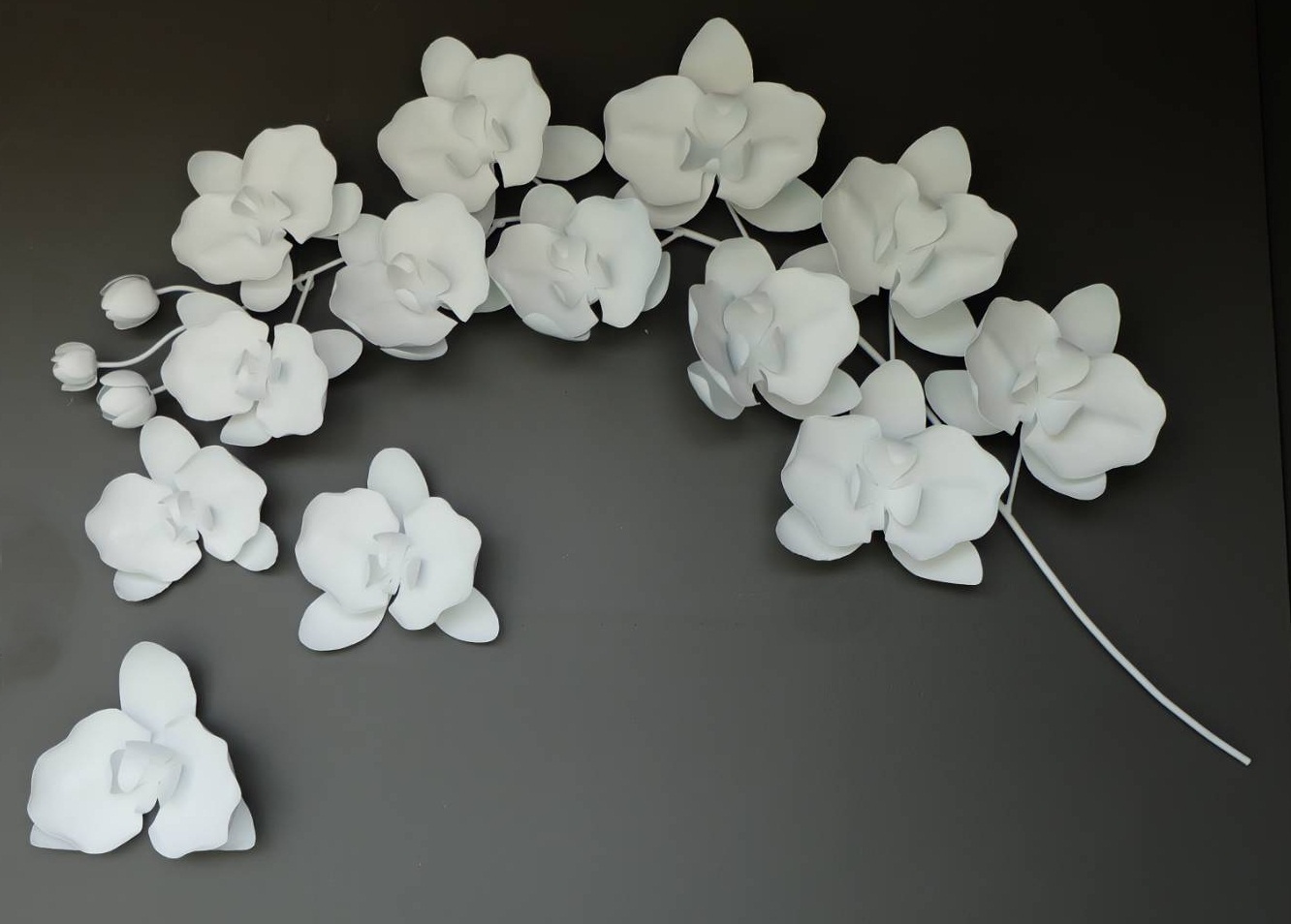 ดอกกล้วยไม้ ติดผนัง