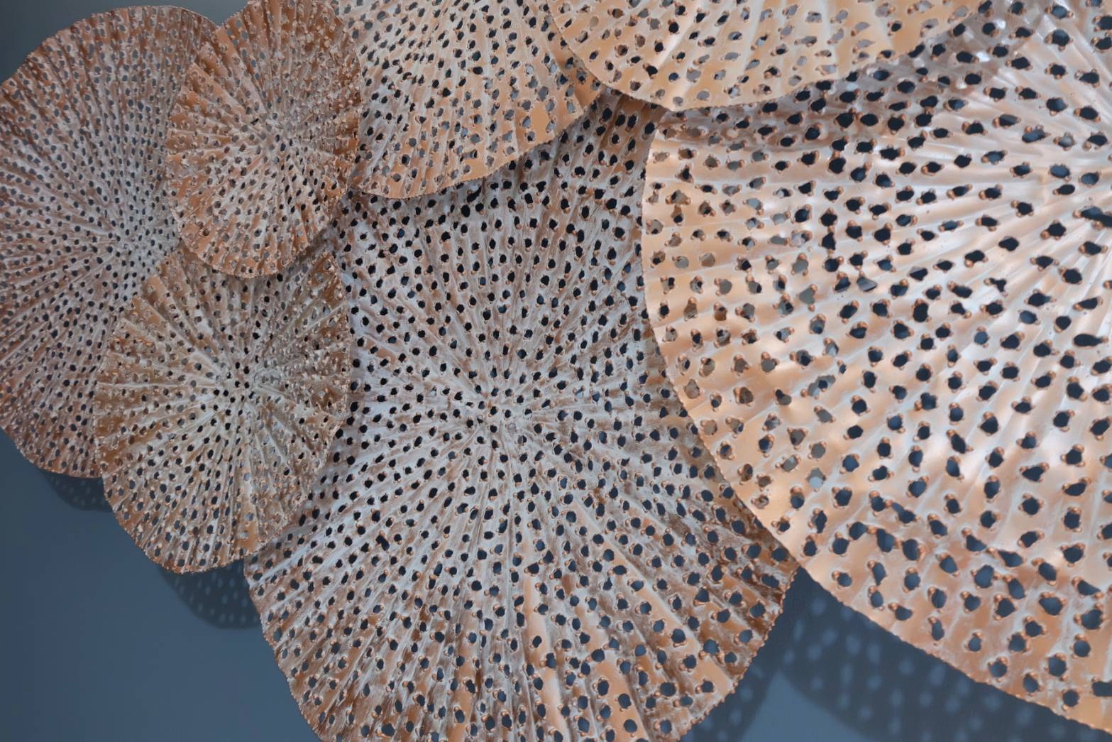 ใบบัว ติดผนัง